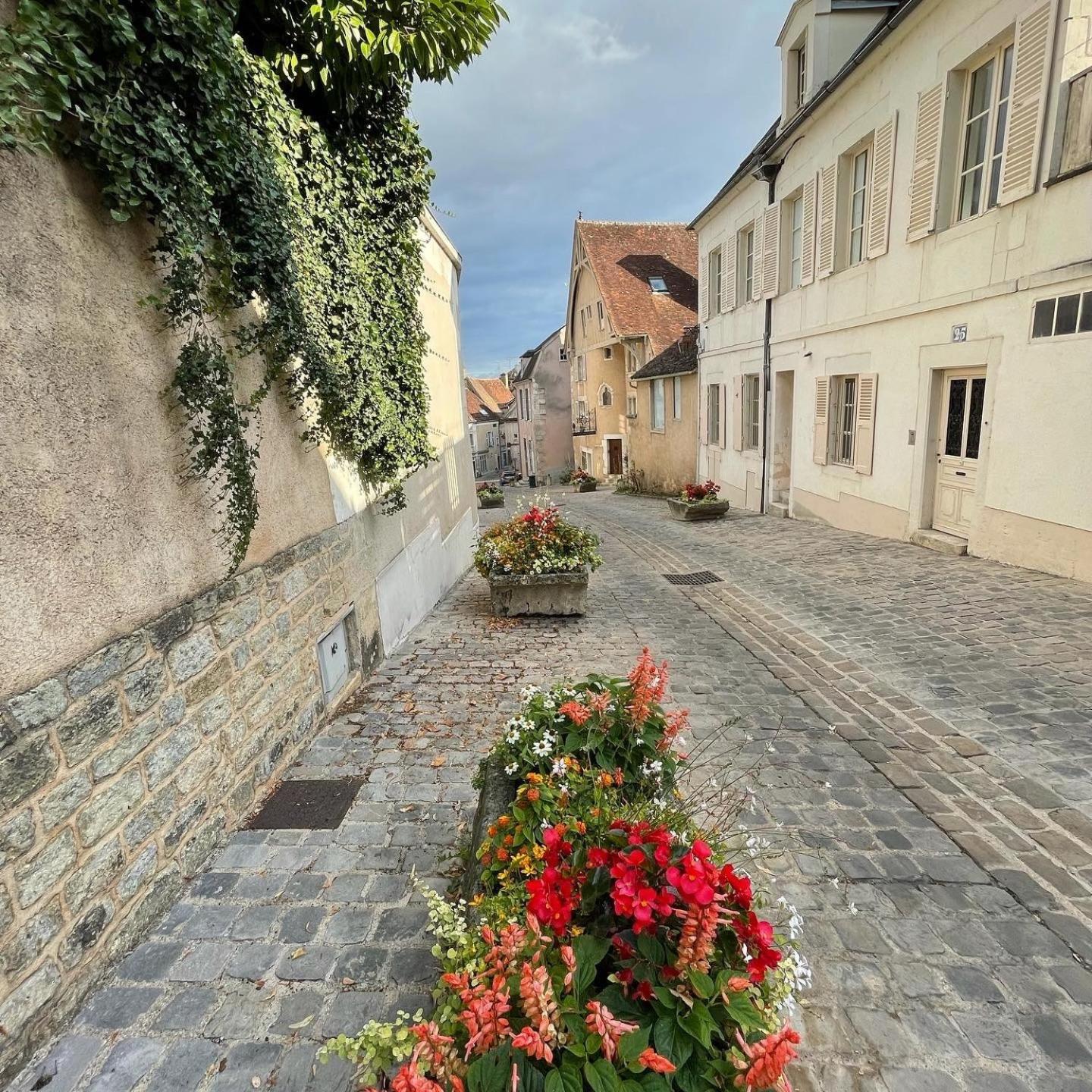 Le Pigeonnier Centre Historique Auxerreアパートメント エクステリア 写真